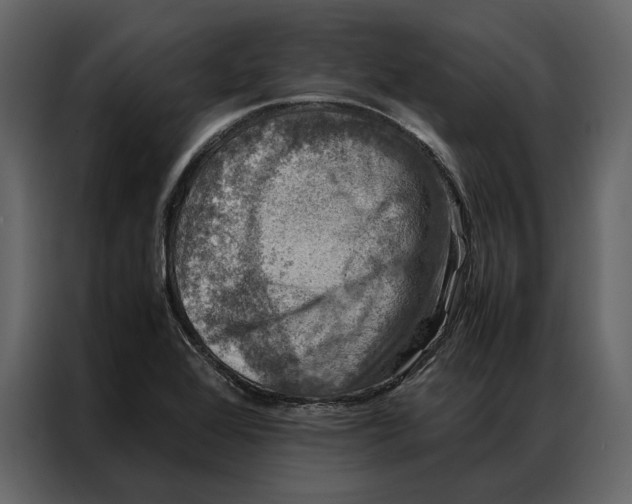 X0000086891368200705071214