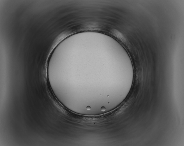 X0000086891370200705071214