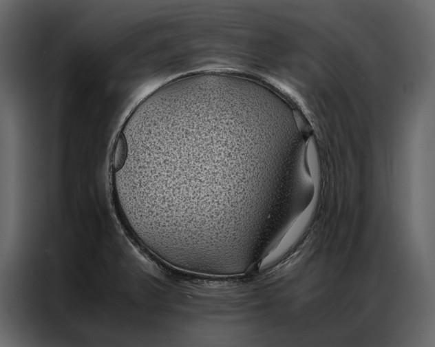 X0000086891375200705071214