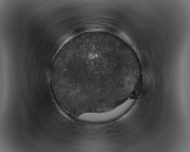 X0000086891377200705071214