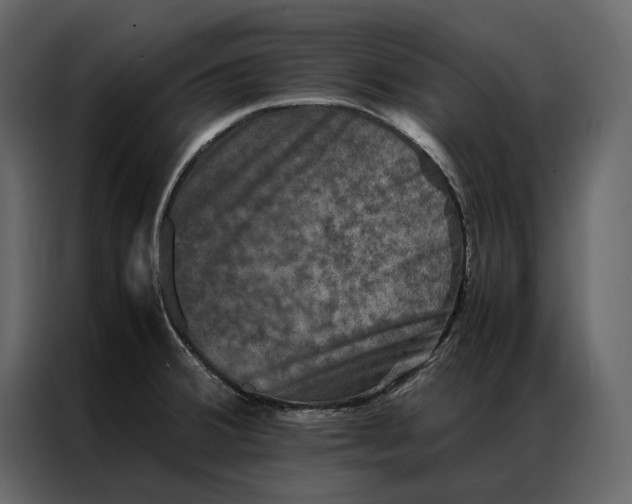 X0000086891380200705071214