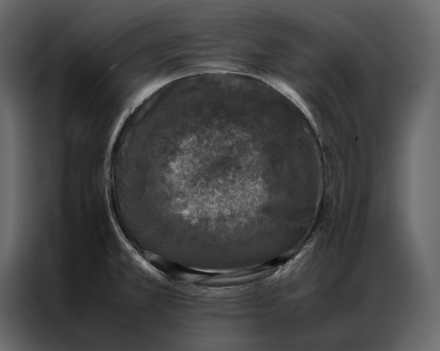 X0000086891381200705071214