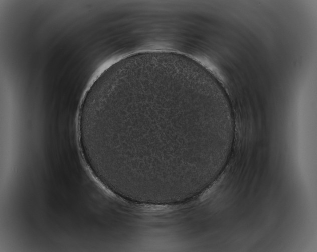 X0000086891382200705071214