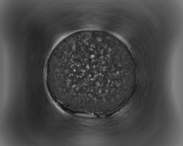 X0000086891383200705071214