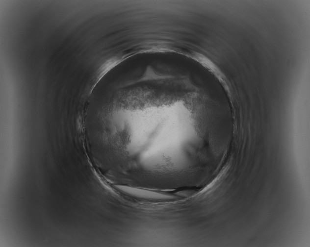 X0000086891385200705071214