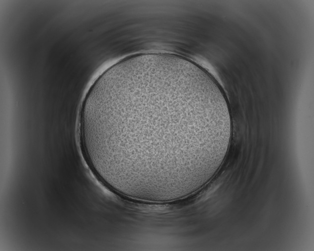 X0000086891387200705071214