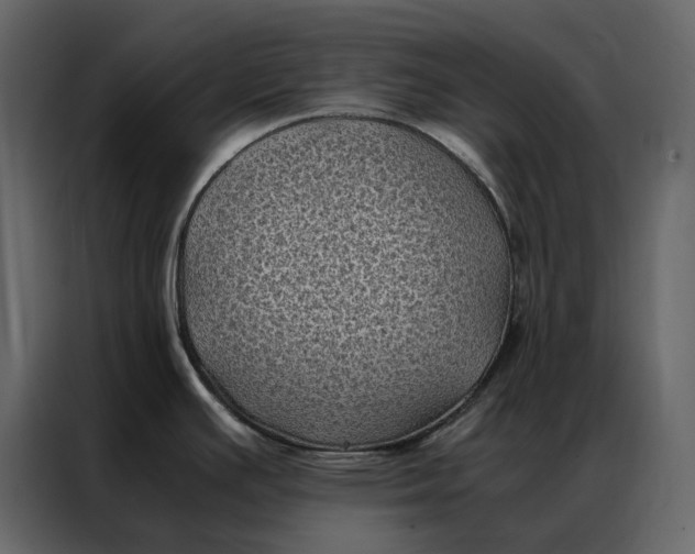 X0000086891391200705071214