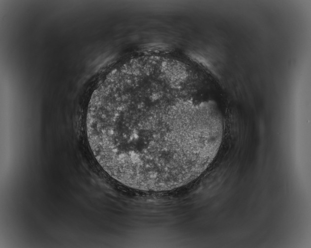 X0000086891399200705071213