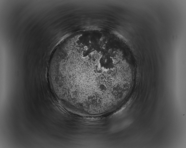 X0000086891401200705071213