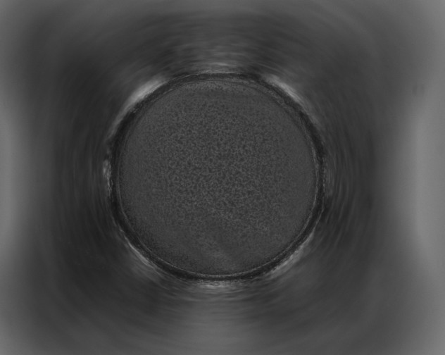 X0000086891402200705071213