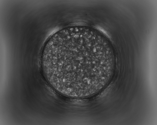 X0000086891405200705071213