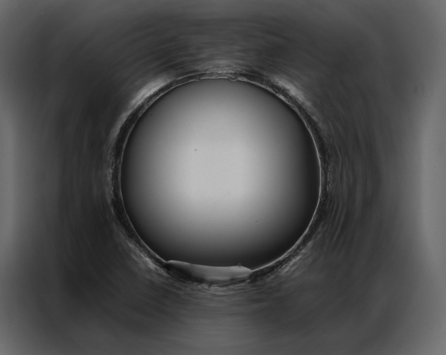 X0000086891410200705071213