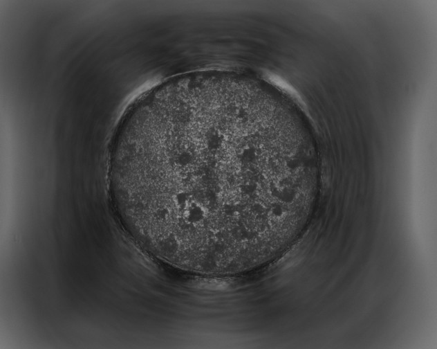 X0000086891411200705071213