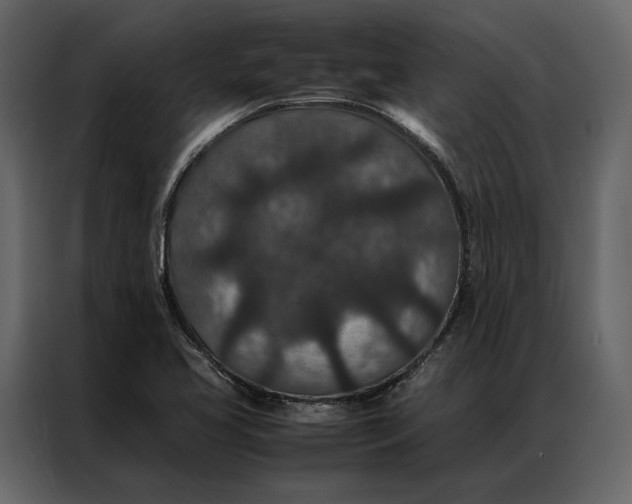 X0000086891413200705071213