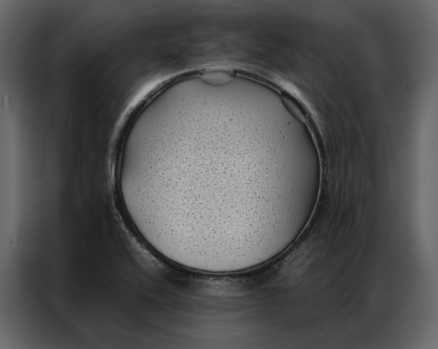 X0000086891416200705071213