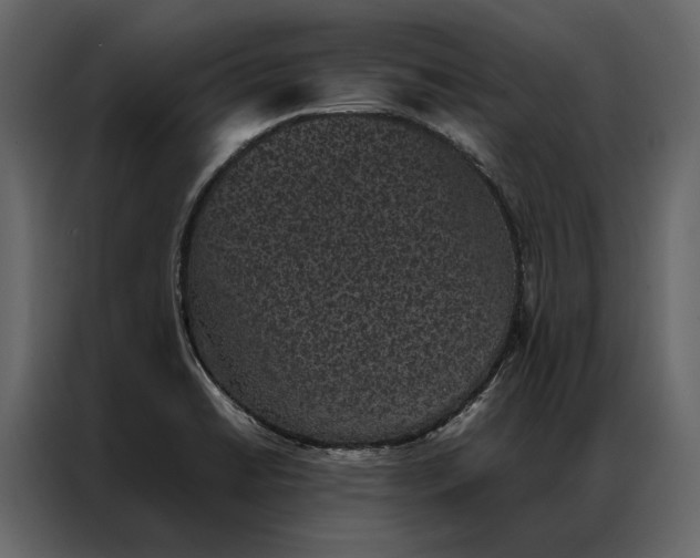 X0000086891422200705071213