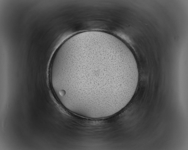 X0000086891423200705071213