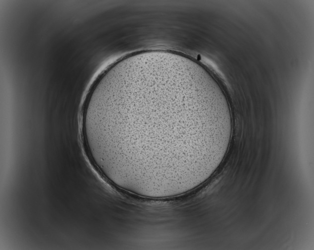 X0000086891424200705071213