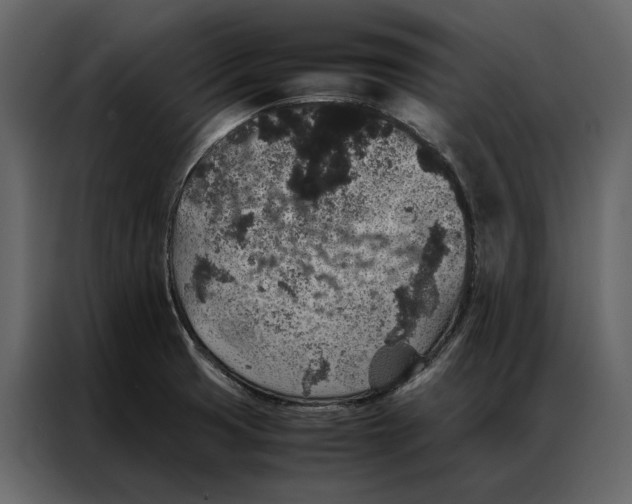 X0000086891425200705071213