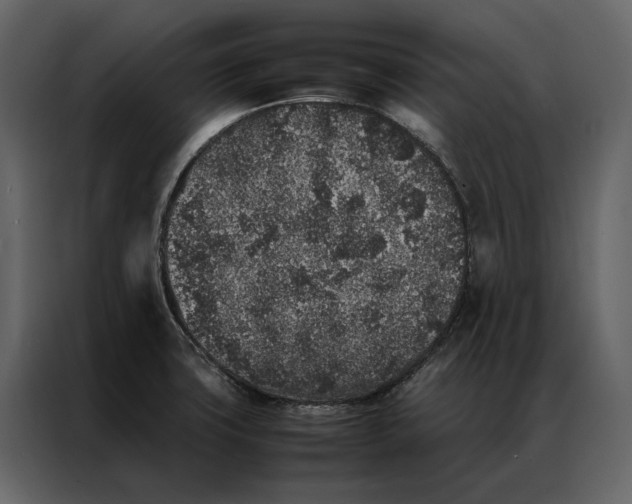 X0000086891427200705071213