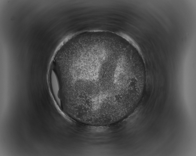 X0000086891429200705071213