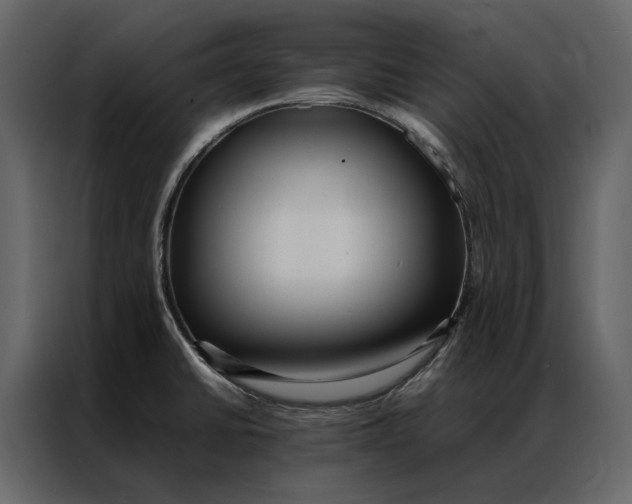 X0000086891430200705071214