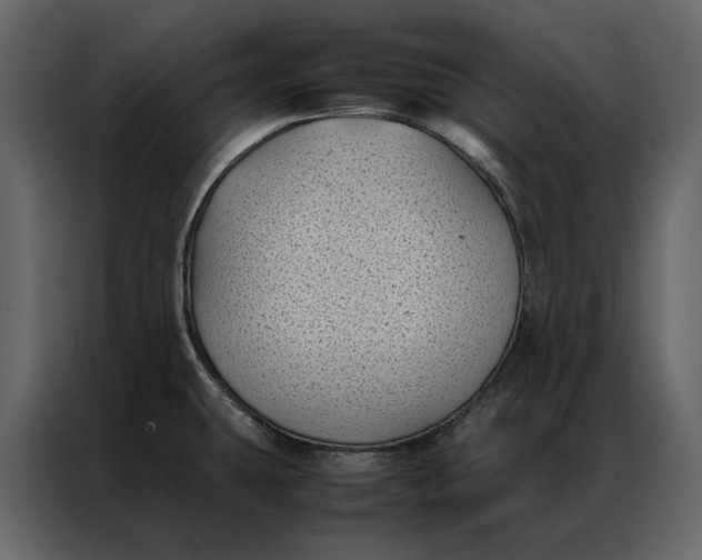 X0000086891431200705071214