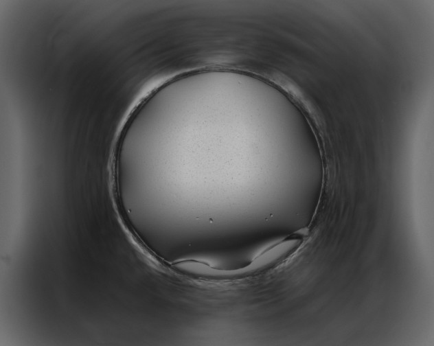 X0000086891432200705071214