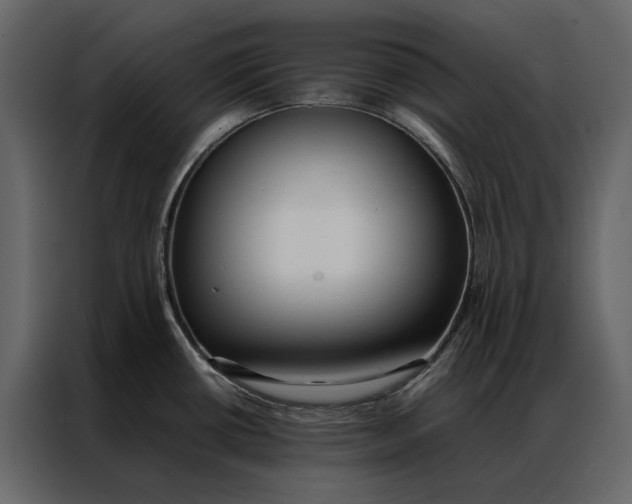 X0000086891434200705071214