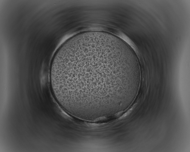 X0000086891436200705071214