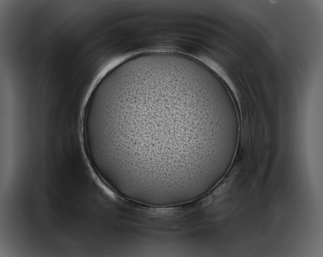 X0000086891437200705071214