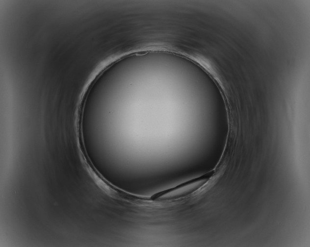 X0000086891438200705071214