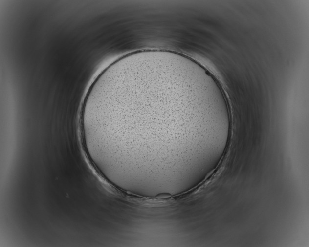 X0000086891440200705071214