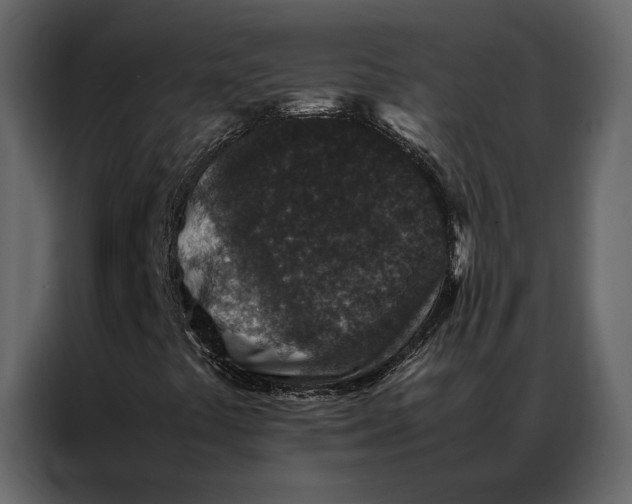 X0000086891441200705071213