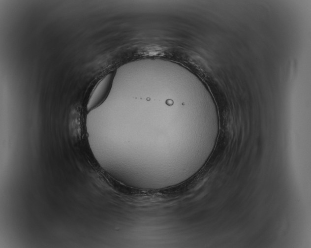 X0000086891442200705071213