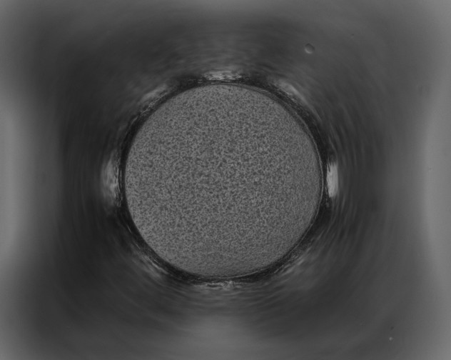 X0000086891444200705071213