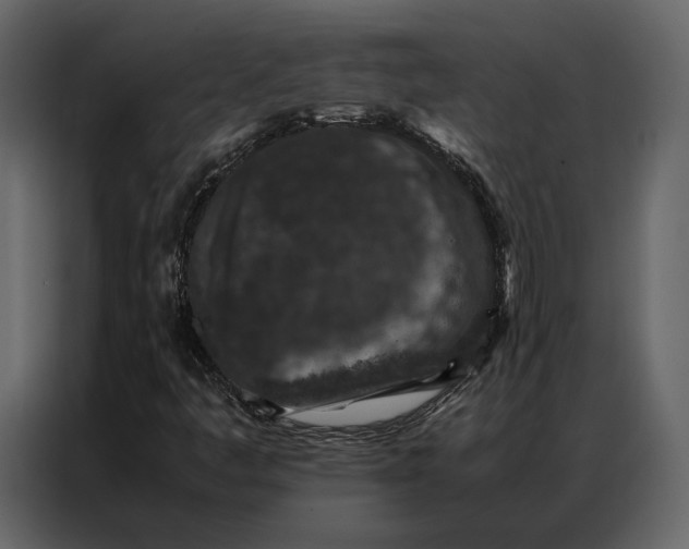 X0000086891445200705071213