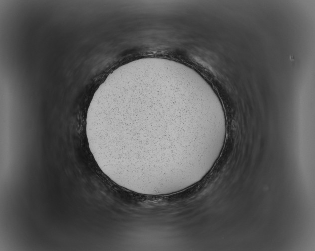 X0000086891447200705071213