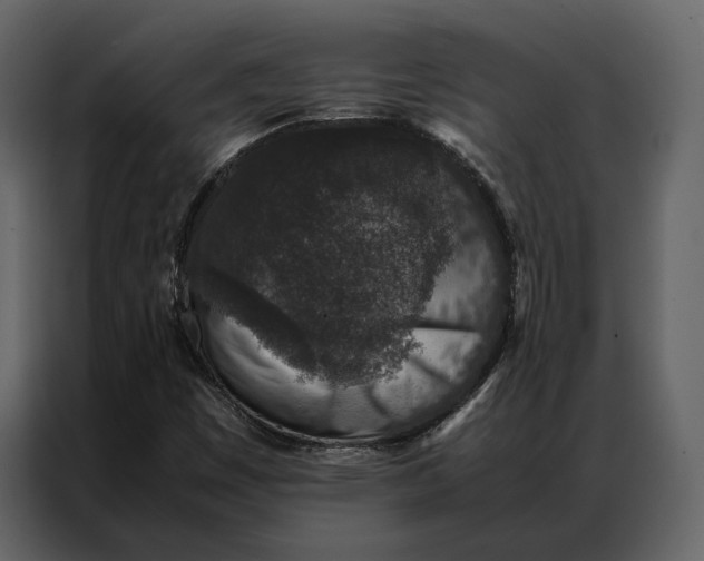 X0000086891449200705071213