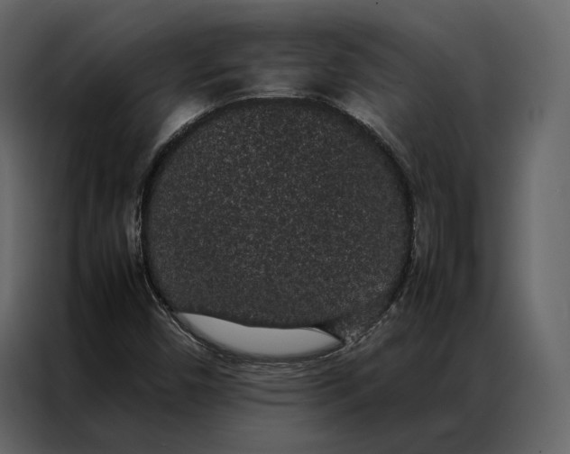 X0000086891450200705071213