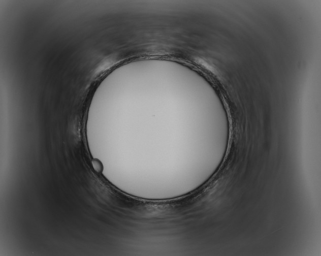 X0000086891451200705071213