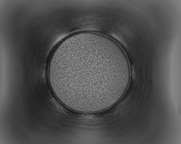 X0000086891452200705071213