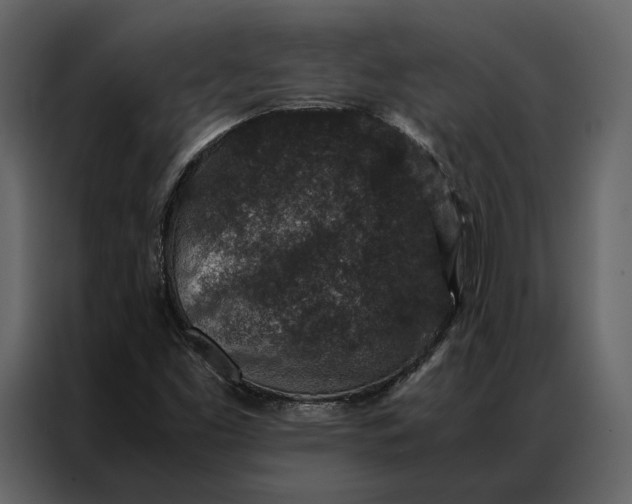 X0000086891453200705071213