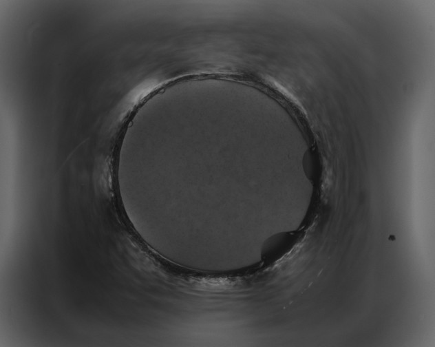 X0000086891455200705071213