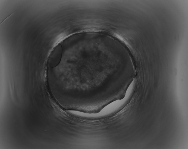 X0000086891459200705071213