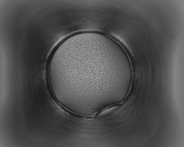 X0000086891460200705071213