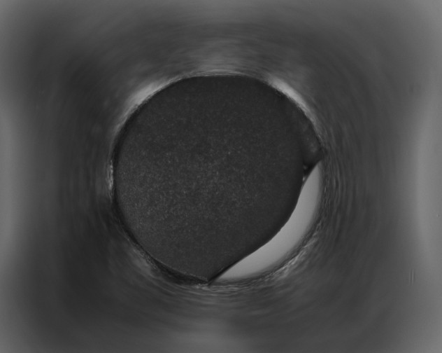 X0000086891461200705071213