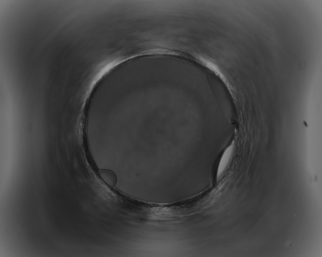 X0000086891463200705071213