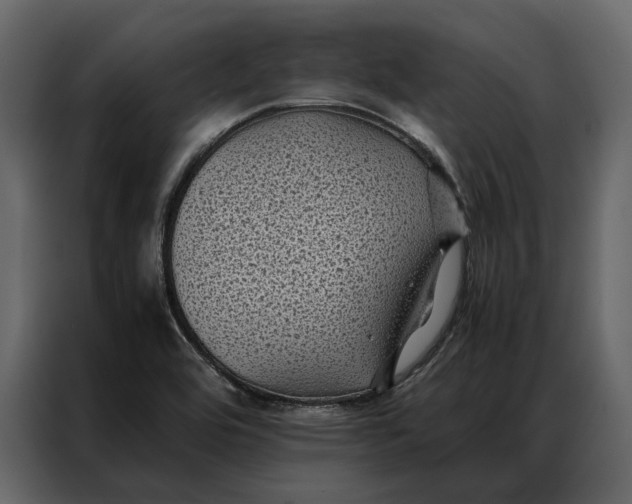 X0000086891464200705071213