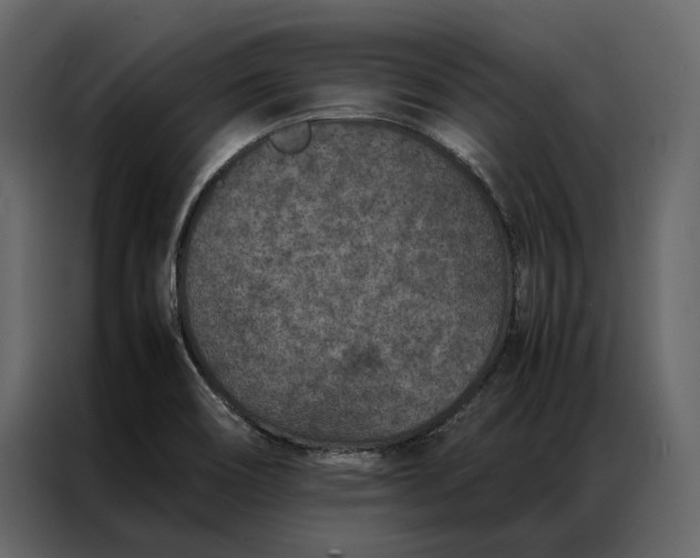 X0000086891466200705071213